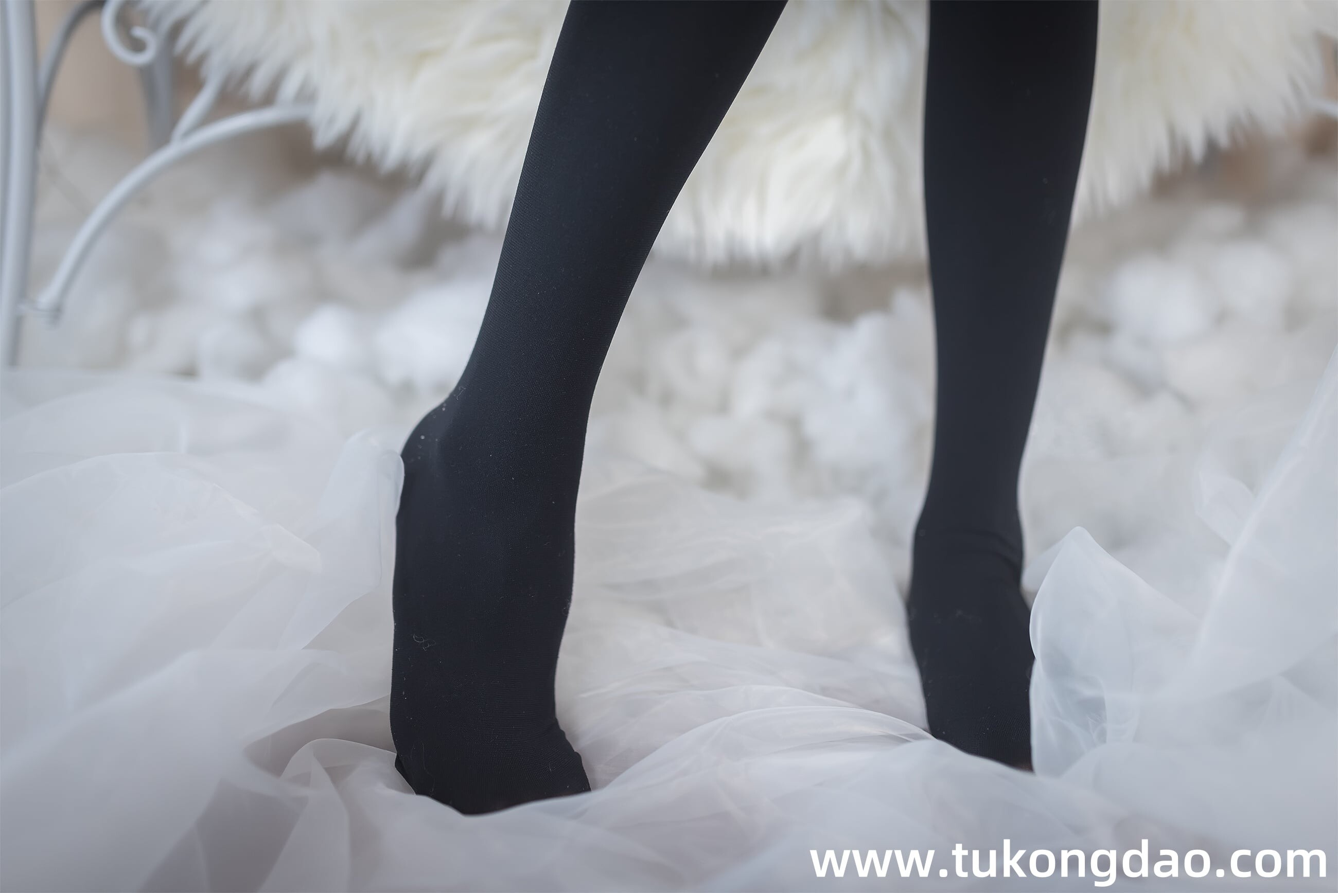 tukongdao.com (38)